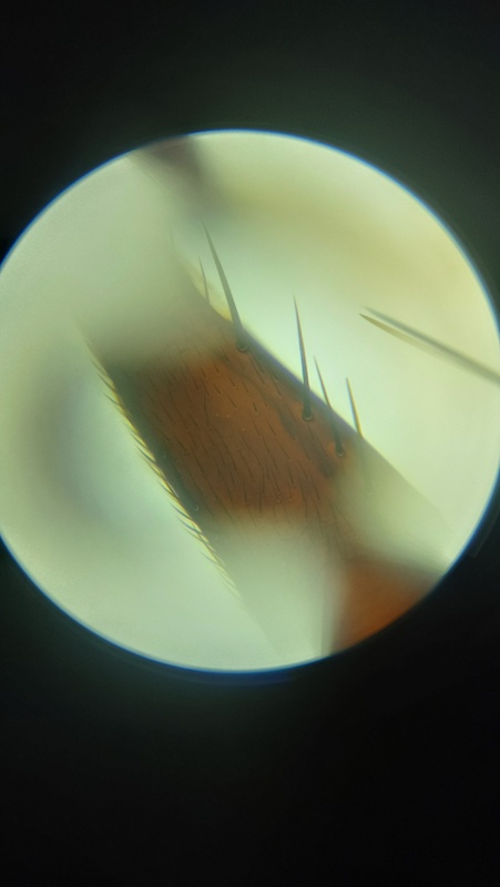 Nuotrauka 16