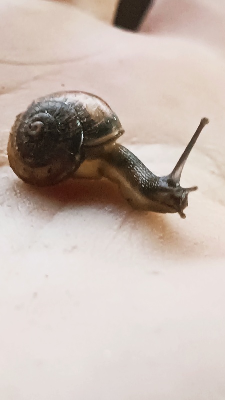 Nuotrauka 17